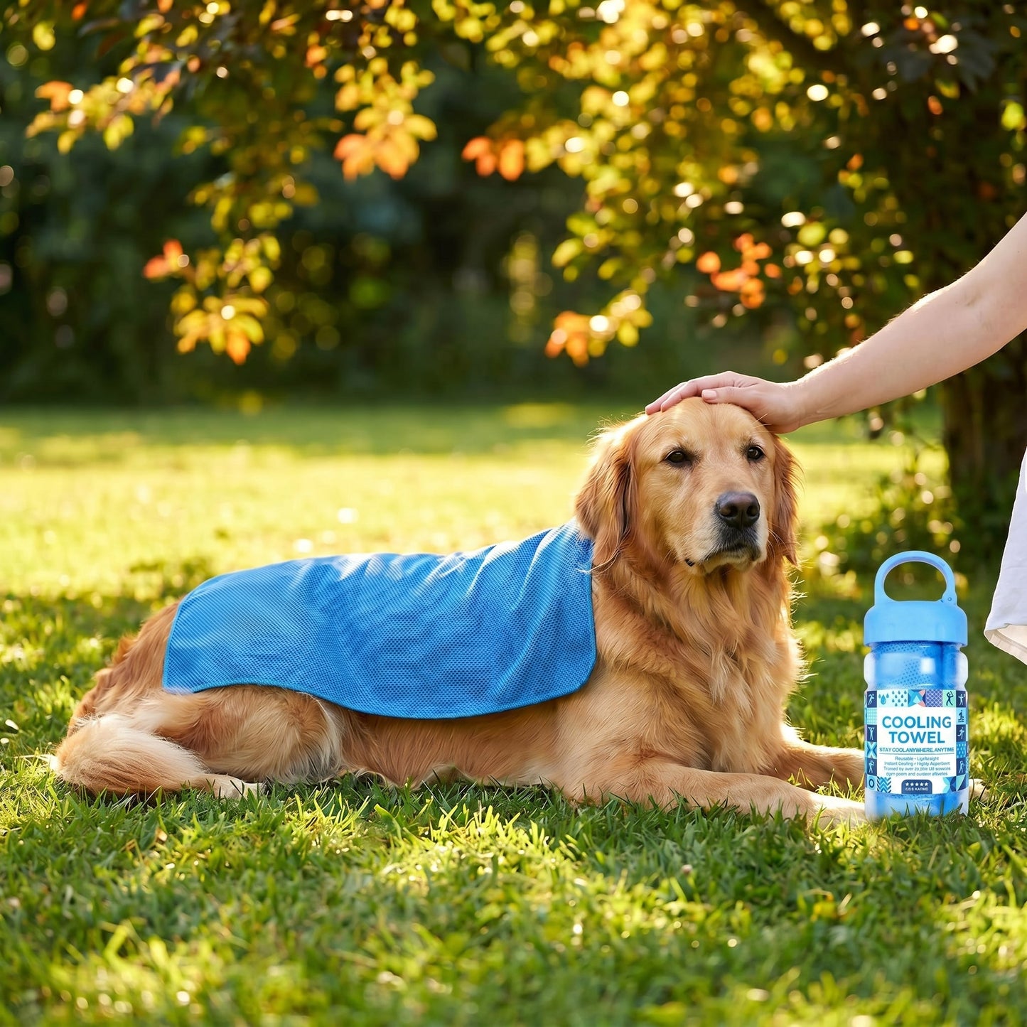 ❄️Absorbent Quick-Drying Gym Cooling Towels ❄️