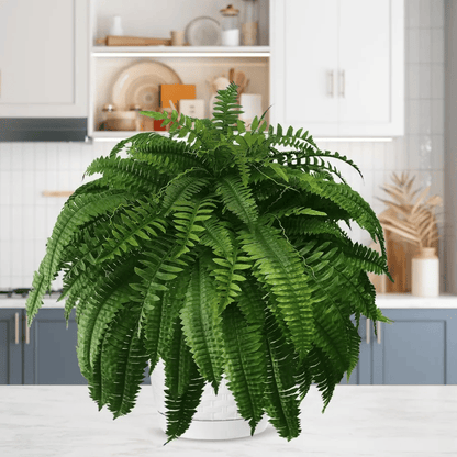 🔥Last Day 50% OFF🔥--🪴UV Resistant Lifelike Artificial Boston Fern