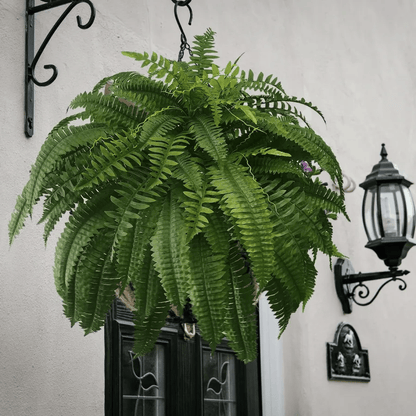🔥Last Day 50% OFF🔥--🪴UV Resistant Lifelike Artificial Boston Fern