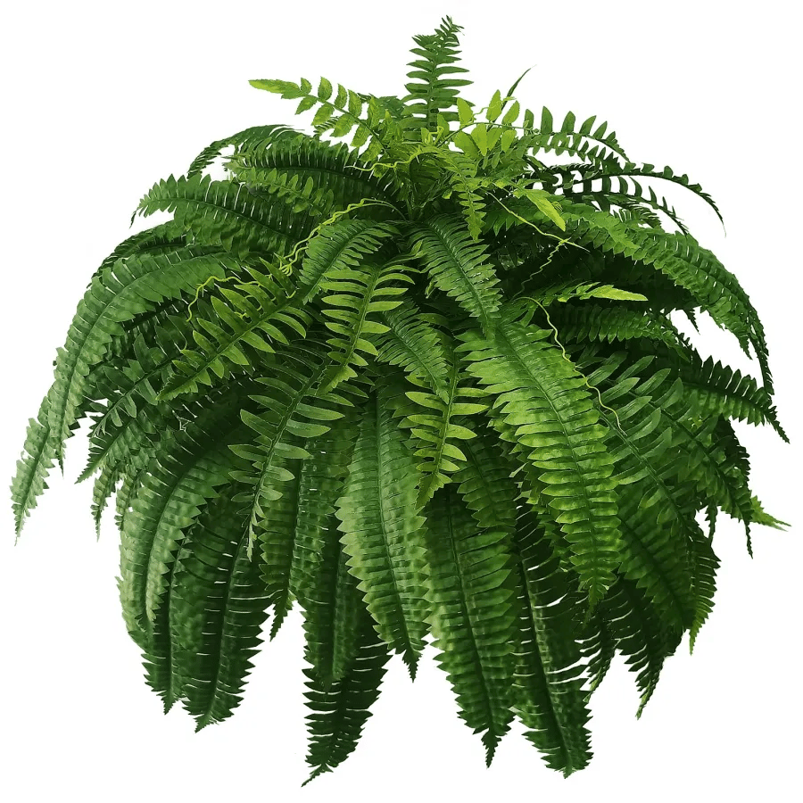 🔥Last Day 50% OFF🔥--🪴UV Resistant Lifelike Artificial Boston Fern