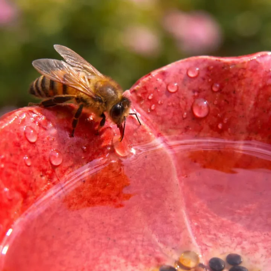 Bee Blossoms Handcrafted Ceramic Bee Water Stations | Set of 4